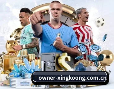 owner-xingkoong.com.cn的故事（xingkong）