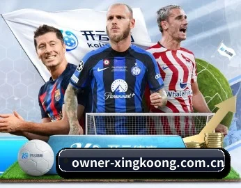 owner-xingkoong.com.cn的故事（xingkong）